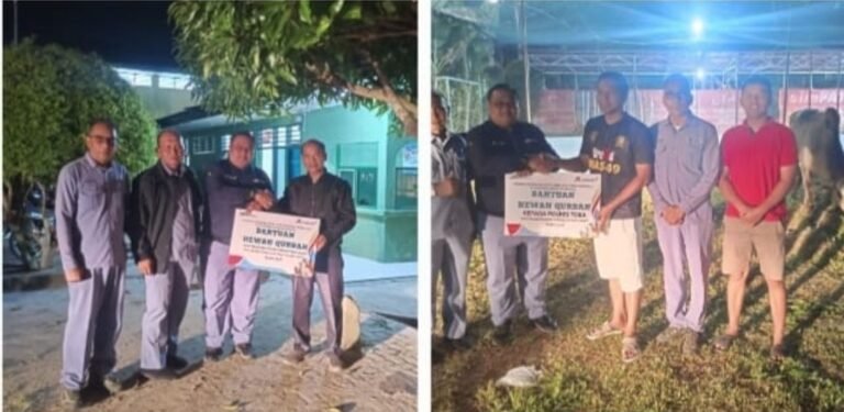 INALUM Tebar 47 Hewan Kurban di Idul Adha 1446 H: Perkuat Nilai Sosial dan Kepedulian Masyarakat