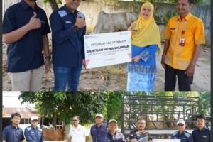 INALUM Tebar Kebahagiaan Idul Adha, Salurkan 47 Hewan Kurban untuk Masyarakat!