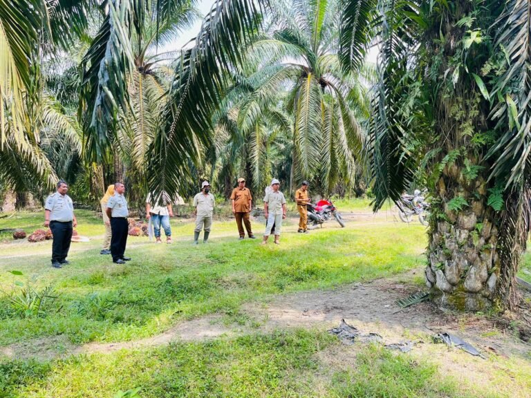 “Dorong Efisiensi Aset, Kalapas Labuhan Ruku Lakukan Peninjauan Lahan di Air Joman”