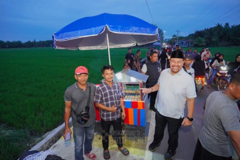 Dukung Ekonomi Kreatif Tingkat Desa, Bupati Batu Bara Kunjungi Sawah Viral Bahagia