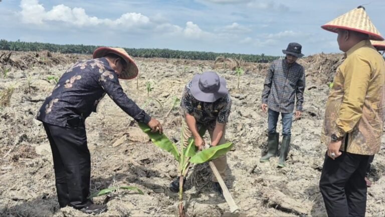 Dari Lahan Tidur ke Lahan Subur: Lapas Labuhan Ruku Tanam 500 Bibit Pisang, Perkuat Ketahanan Pangan dan Kemandirian WBP